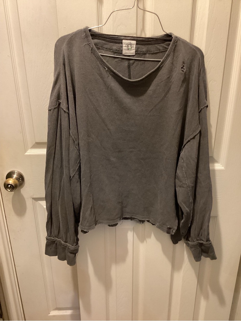 We The Free Washed Gray Distressed Cropped Long Sleeve Top